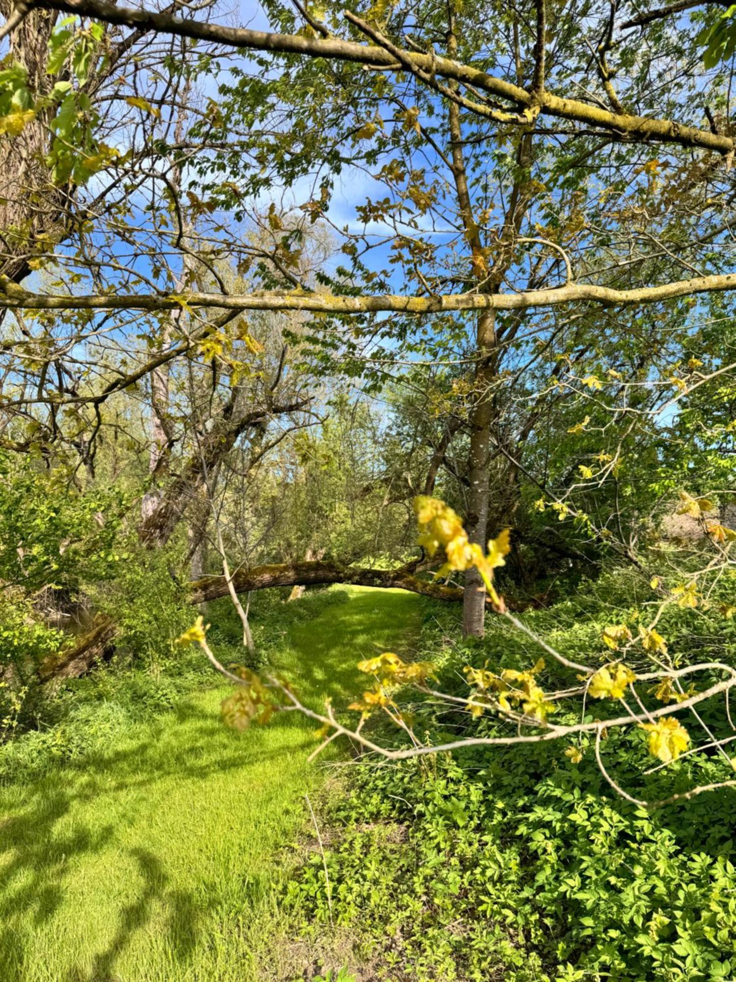 Am Flussgarten Eriskirch Exterior photo
