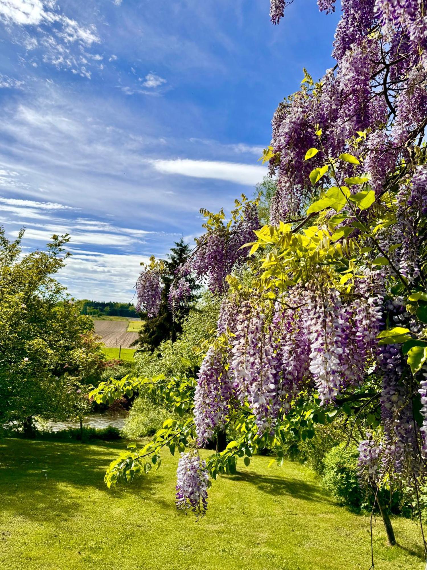 Am Flussgarten Eriskirch Exterior photo