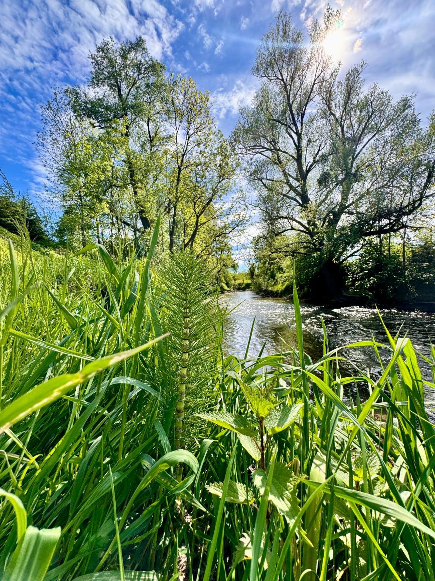 Am Flussgarten Eriskirch Exterior photo